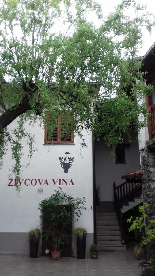Apartmaji Pri Zivcovih Dutovlje Exterior foto